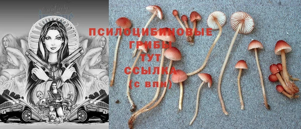 Альфа ПВП Майский