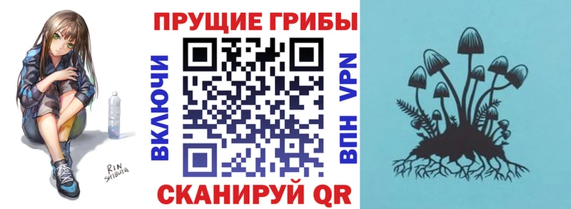 Галлюциногенные грибы GOLDEN TEACHER  Брюховецкая 