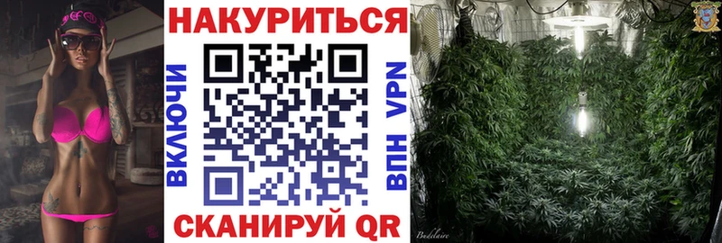 площадка какой сайт  Брюховецкая  Бошки Шишки семена 